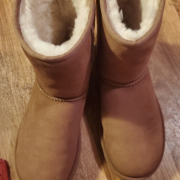 Brand new uggs - Picture 5 of 6